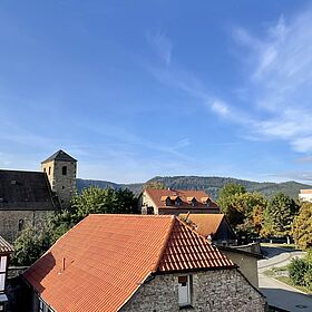 IMG_7733