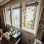 Fenster